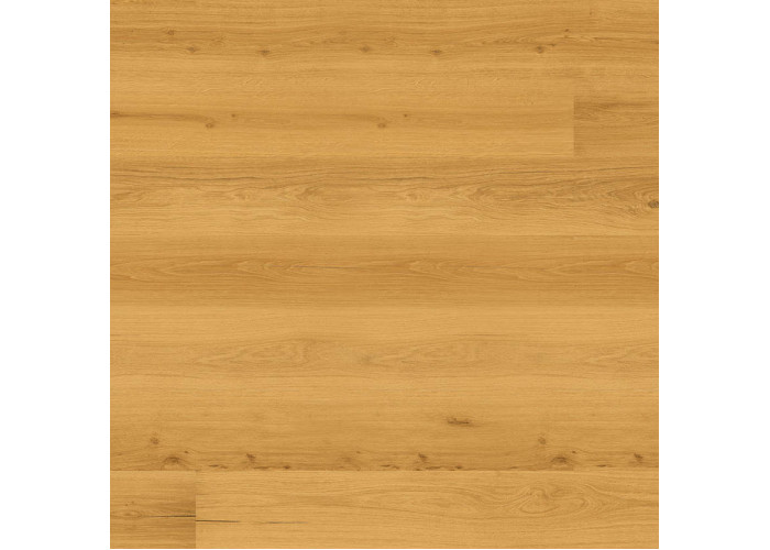 Пробка Wicanders Wood Essence Golden Prime Oak D8F7001