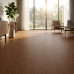 Пробковый ламинат Wicanders Personality Chestnut P832002
